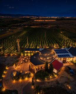 Royal Grapes Park - 4