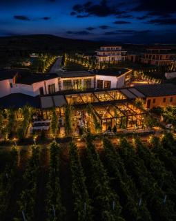 Royal Grapes Park - 3