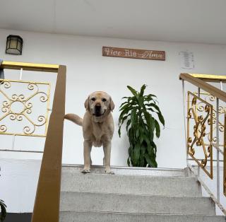 Hotel Rosandy Galaxy - 1