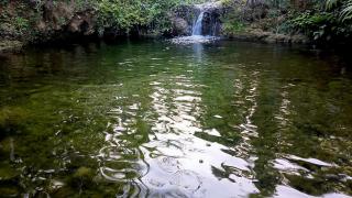 River Edge Guest House - 8