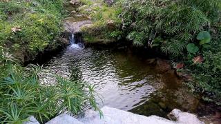 River Edge Guest House - 6