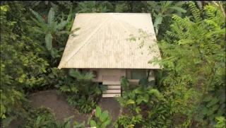 AIRE Jungle Boutique Hotel - 7