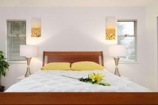 Quiet Room in Charming Vancouver Homestay - 9