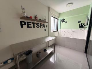 Cozy modern apartment in San Miguel - 6