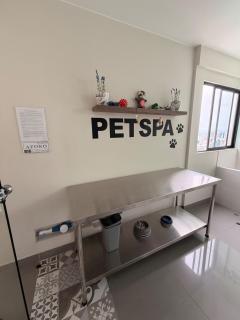 Cozy modern apartment in San Miguel - 9