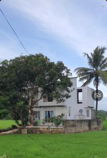 Paddy field guest house weherahena - 9