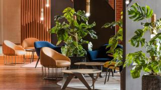 voco Dubai The Palm by IHG - 8