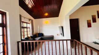 Wild Olive Tree Hostel - 4