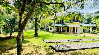 Pearl Crown Homestay - 2