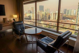 Mandarin Oriental, Santiago - 8