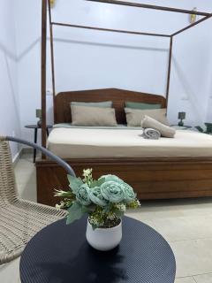 En-suite Room- Walk to Renaissance Monument - 5
