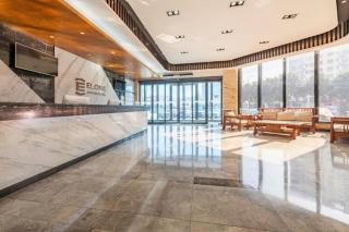 Borrman Hotel Xinxiang Muye Avenue - Guandi - 7