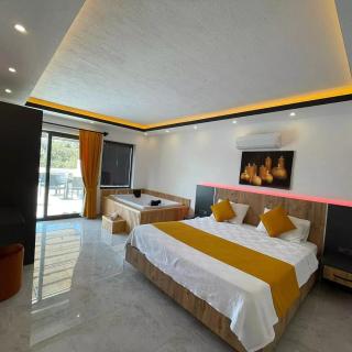 Villa eyfel luxury holiday with private pool - 9