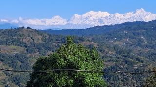 Resort Abhirup - 5