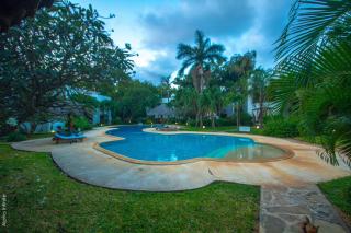 Green Malindi - 4