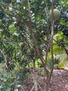 Nam Binh Homestay - 8