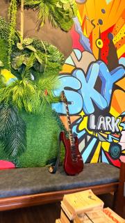 Skylark Holidays Chinnakanal - 2