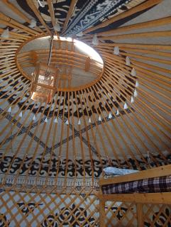 Guest yurt number 6 - 5