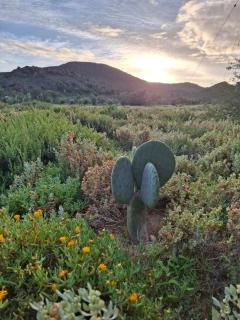 Pepper Tree Farm Cottage on the R62 - 1