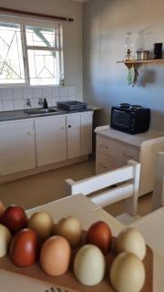 Pepper Tree Farm Cottage on the R62 - 4
