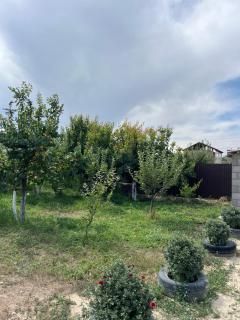 Aziret Guest House - 2