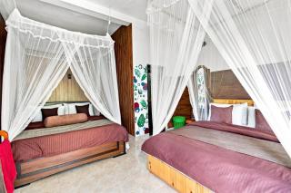 Serenity Homestay - 0