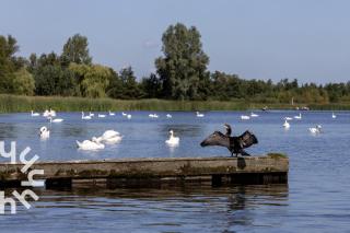 OV756 - Spacious 2-person apartment near Giethoorn with a beautiful view over the water - 2