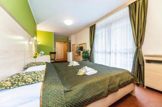 Hotel Flóra - Trenčianske Teplice - 8