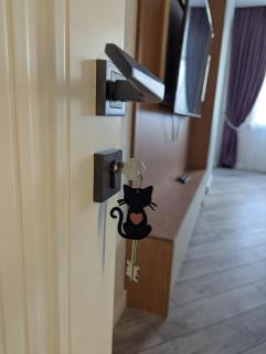 Cozy Aparment with 2 bedrooms - 8