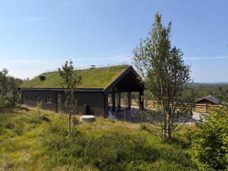 Rabbelia by Norgesbooking - cabin in great hiking and skiing area - Ål - 0