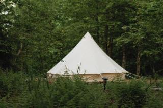 Luxury Glamping in a Jungle Setting Along River Wiht AA, TUB, Hiking - 8