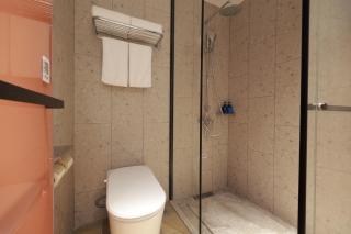 Jusheng Hotel Beijing New International Exhibition Center Capital Airport Branch - 8