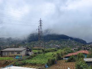 Ruma's Mountain Breeze - 9