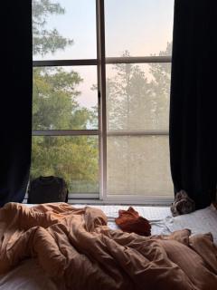 Nathia Lodge Two Bedroom Family Apartment - 4