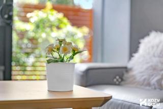 KozyGuru | Waitara | 2 Bed Apt with Private Yard - 3