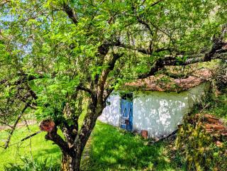 Vila da Fonte - Peaceful Rural 3-bedroom Villa with Private Pool, Central Portugal - 9