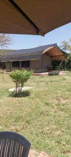 Elephant trails camp - 0