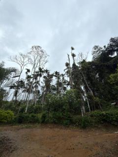 Veni homestay - 8