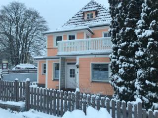 Ferienhaus SweetDreams - mit Hund - 1