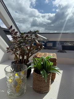 Penthouselejlighed midt i Vejle - 5