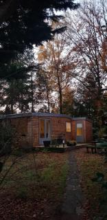 Knus huisje in het bos - 1
