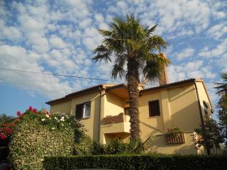 Apartments Mirella - Novigrad Istria - 8