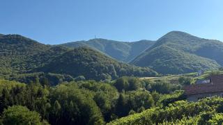 Dedina Klet - Vineyard Cottage with Mountain View - 7