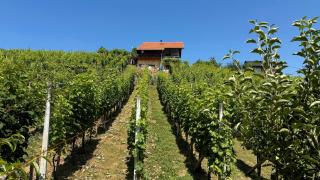 Dedina Klet - Vineyard Cottage with Mountain View - 7