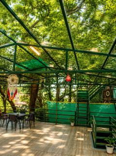 Jungle wala Zostel- 3 Min walk from mall road - 3