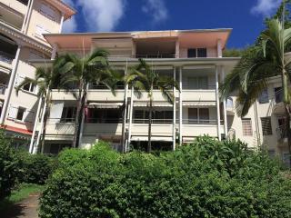 appartement le marin F3 vue mer et wifi - 9