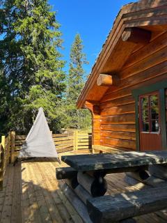 Timber cabin - 0