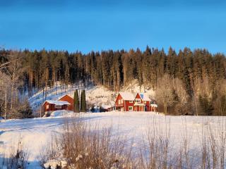 Sfeervol vakantiehuis met waterzicht in Värmland - 7