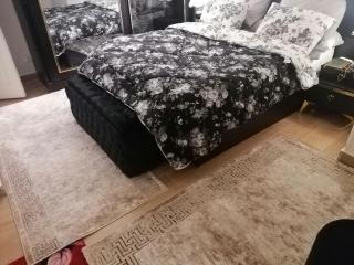 Luxury Furnished 3 Bedroom Apartment - 3