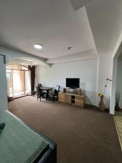 Apartament Iasmina 3 - 9